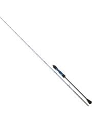 Daiwa Lexa 1.85M 250-400GR 1+1p Slow Jig Kamış