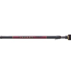 DAIWA INFEET SEABASS 2.51M 10-35GR