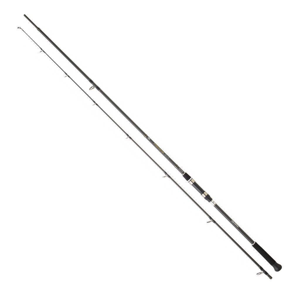DAIWA NEW PROCASTER GAME III 3.00M, 60-120GR, 2P KAMIŞ