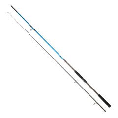 DAIWA SPITFIRE SEABASS CF 2.40M, 14-42 2P SPIN KAMIŞ